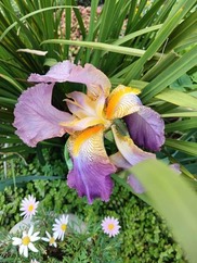 IMG-20240802-WA0008